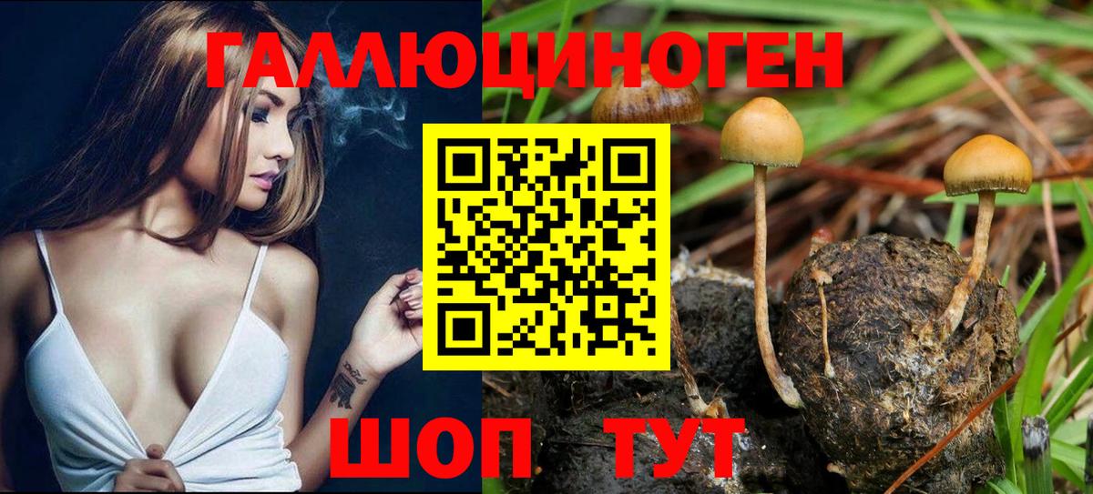 Псилоцибиновые грибы ЛСД Богородицк