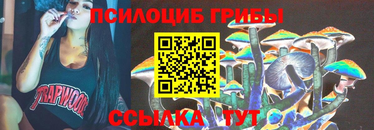 Богородицк  Галлюциногенные грибы ЛСД  Вход с VPN 